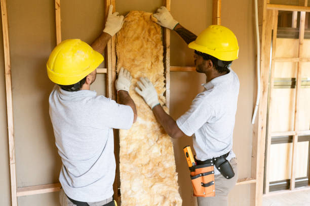 Best Insulation for New Construction  in Laughlin Af, TX